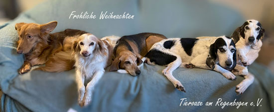 Frohliche Weihnachten 2025 550