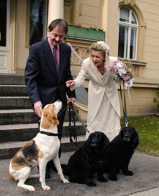 Hochzeit Hunde 1 550